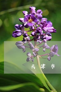 天津市东丽区婚姻律师所 天津市东丽区婚姻律师所