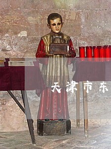 天津市东封村村委会法律风险查询 天津市东封村村委会法律风险查询