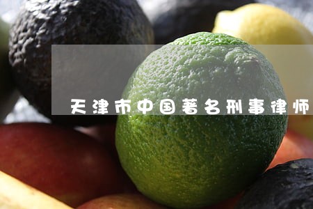 天津市中国著名刑事律师品牌企业 天津市中国著名刑事律师品牌企业
