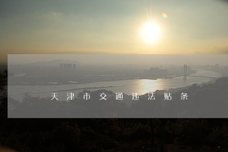天津市交通违法贴条