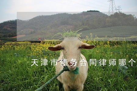 天津市债务合同律师哪个好