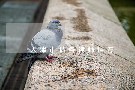 天津市债务律师推荐 天津市债务律师推荐