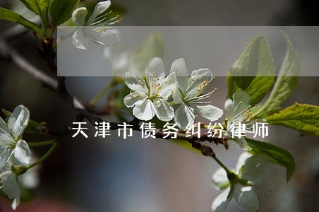 天津市债务纠纷律师 天津市债务纠纷律师