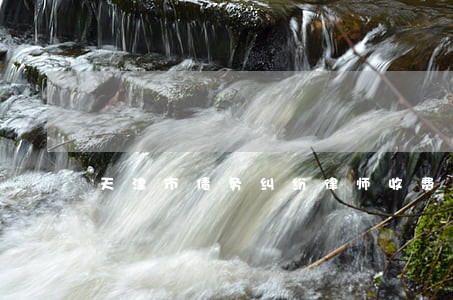 天津市债务纠纷律师收费 天津市债务纠纷律师收费