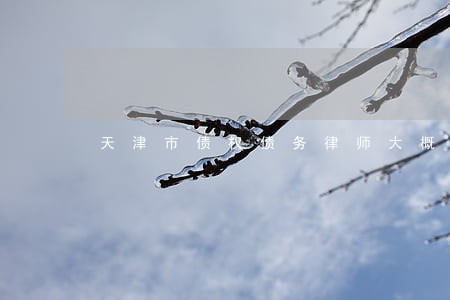 天津市债权债务律师大概多少钱 天津市债权债务律师大概多少钱