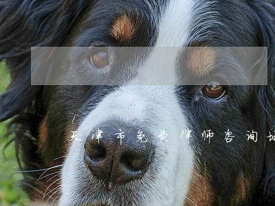 天津市免费律师咨询地址