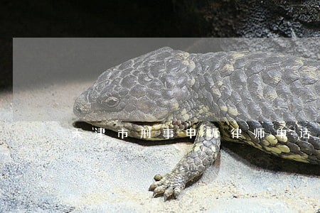 天津市刑事申诉律师电话