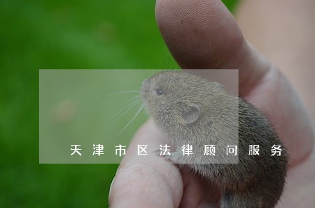 天津市区法律顾问服务 天津市区法律顾问服务