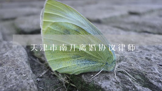 天津市南开离婚协议律师 天津市南开离婚协议律师