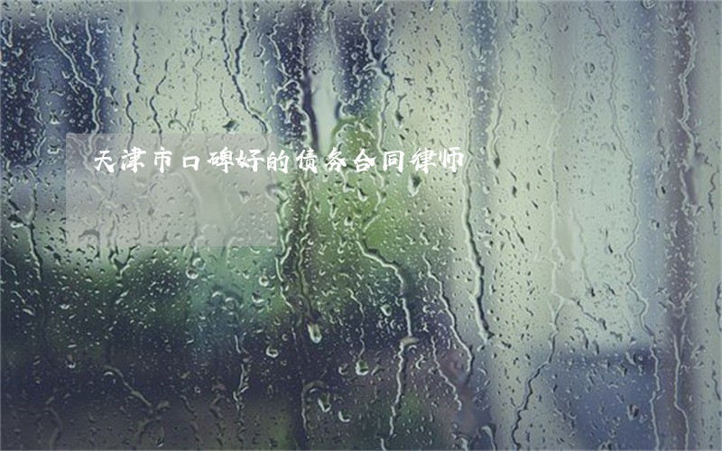 天津市口碑好的债务合同律师 天津市口碑好的债务合同律师