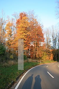 天津市和平公司法律顾问 天津市和平公司法律顾问