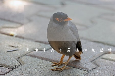 天津市和平区法律援助律师 天津市和平区法律援助律师
