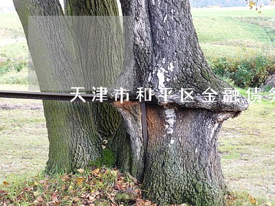 天津市和平区金融债务律师 天津市和平区金融债务律师