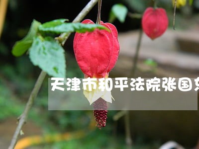 天津市和平法院张国东 天津市和平法院张国东