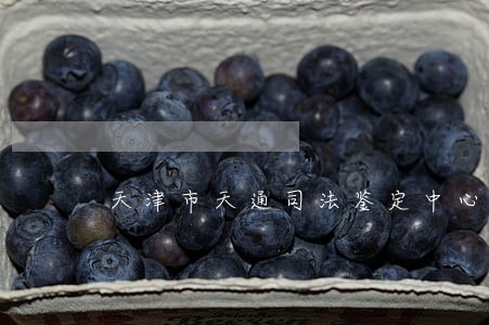 天津市天通司法鉴定中心电话