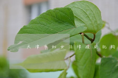 天津市妇女法律援助机构 天津市妇女法律援助机构