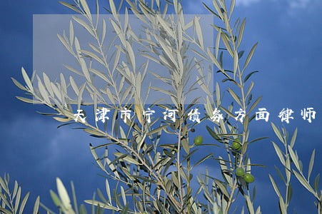天津市宁河债务方面律师 天津市宁河债务方面律师