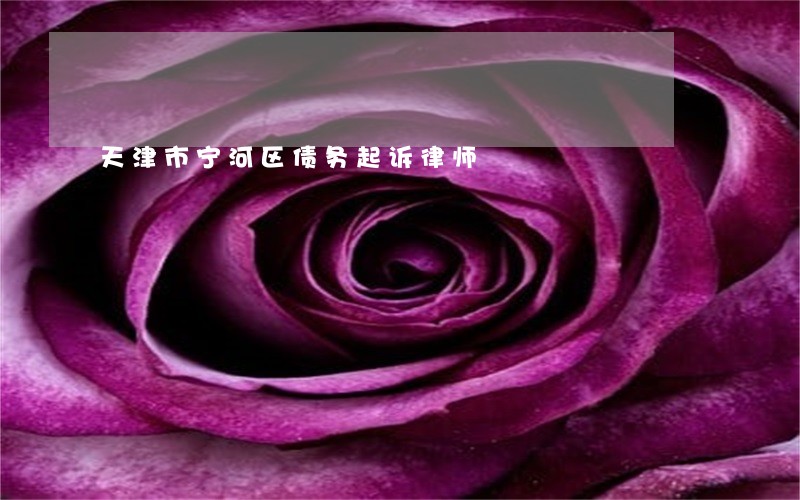 天津市宁河区债务起诉律师 天津市宁河区债务起诉律师