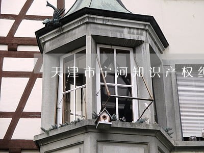 天津市宁河知识产权纠纷律师所 天津市宁河知识产权纠纷律师所