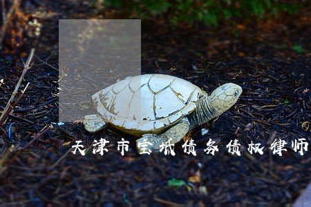 天津市宝坻债务债权律师事务所 天津市宝坻债务债权律师事务所