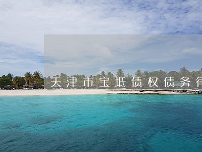 天津市宝坻债权债务律师 天津市宝坻债权债务律师