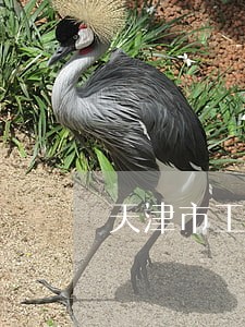 天津市工程建设纠纷律师收费标准 天津市工程建设纠纷律师收费标准