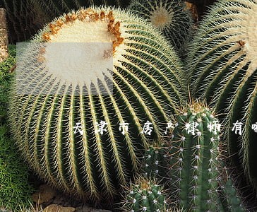 天津市房产律师有哪些 天津市房产律师有哪些