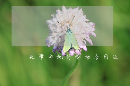 天津市执行劳动合同法 天津市执行劳动合同法