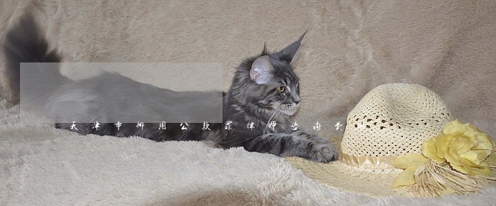 天津市挪用公款罪律师咨询费用 天津市挪用公款罪律师咨询费用