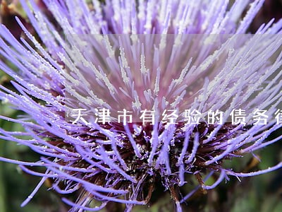 天津市有经验的债务律师推荐 天津市有经验的债务律师推荐