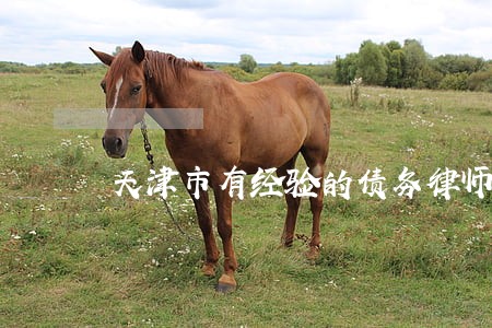 天津市有经验的债务律师收费标准 天津市有经验的债务律师收费标准