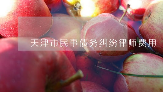 天津市民事债务纠纷律师费用 天津市民事债务纠纷律师费用