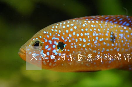 天津市河东医患纠纷律师 天津市河东医患纠纷律师