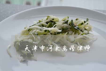 天津市河东离婚律师 天津市河东离婚律师