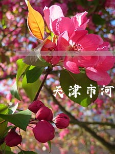 天津市河东继承律师 天津市河东继承律师