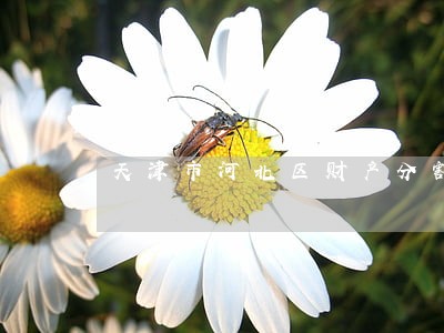 天津市河北区财产分割纠纷律师 天津市河北区财产分割纠纷律师