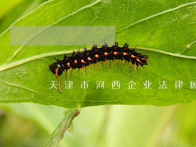 天津市河西企业法律顾问 天津市河西企业法律顾问