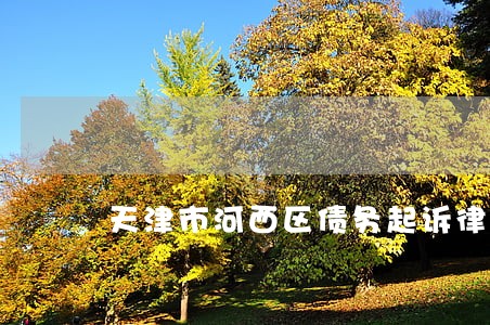 天津市河西区债务起诉律师 天津市河西区债务起诉律师