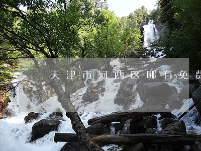 天津市河西区哪有免费法律咨询