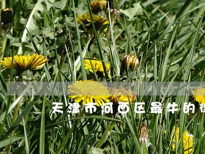 天津市河西区最牛的律师 天津市河西区最牛的律师