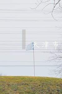 天津市河西区电话律师事务所 天津市河西区电话律师事务所