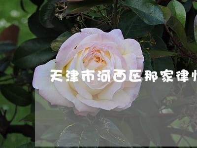 天津市河西区那家律师事务所 天津市河西区那家律师事务所