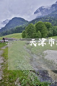 天津市法律咨询律师 天津市法律咨询律师