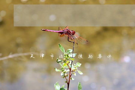 天津市法律援助案件 天津市法律援助案件