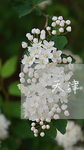 天津市法律援助电话多少 天津市法律援助电话多少