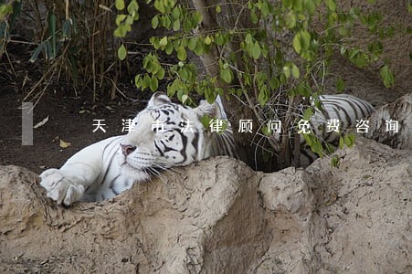 天津市法律顾问免费咨询 天津市法律顾问免费咨询
