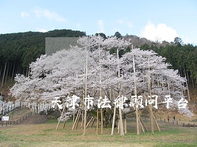 天津市法律顾问平台 天津市法律顾问平台