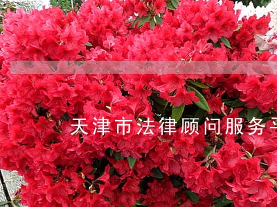 天津市法律顾问服务平台 天津市法律顾问服务平台