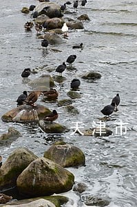 天津市法院史会明