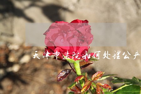 天津市法院如何处理公产房